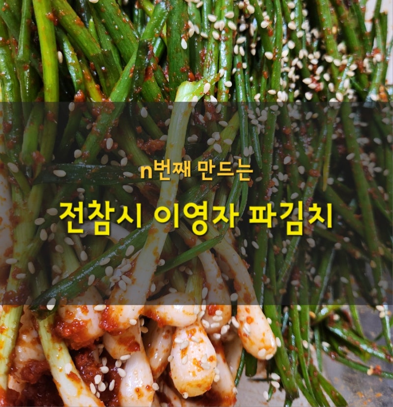 n번째 만드는 전참시 이영자 파김치 레시피