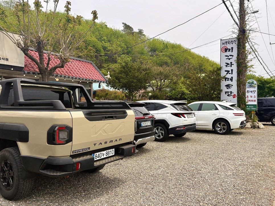 버드나무집 사진 2