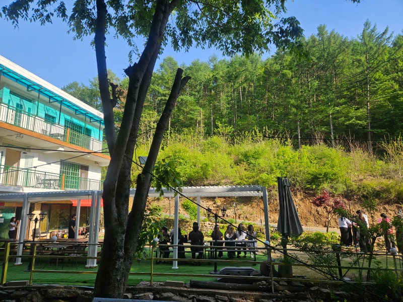 용인 에버랜드 근처 단체펜션 추천 | 대학생 MT 장소로 딱인 포레스트펜션