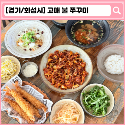 인스타 릴스_ 고매 불 쭈꾸미