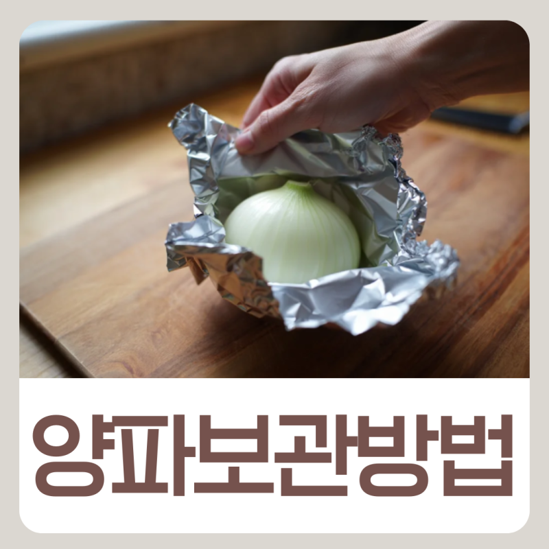 여름 양파 오래보관 방법 호일 냉장보관