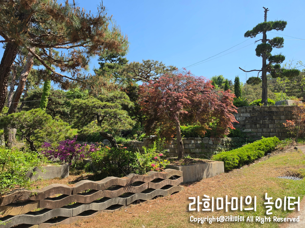 더포레1947 사진 5