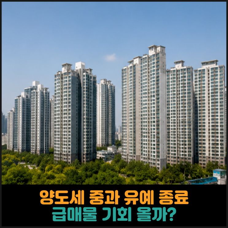  양도세 중과 유예 종료, 급매물 기회 올까?