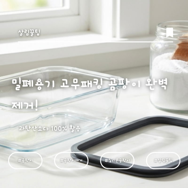 밀폐용기 고무패킹 곰팡이 완벽 제거! 과탄산소다 100% 활용법