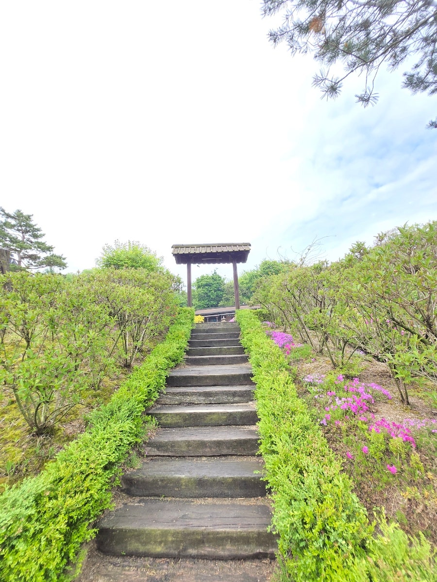 마야 사진 1