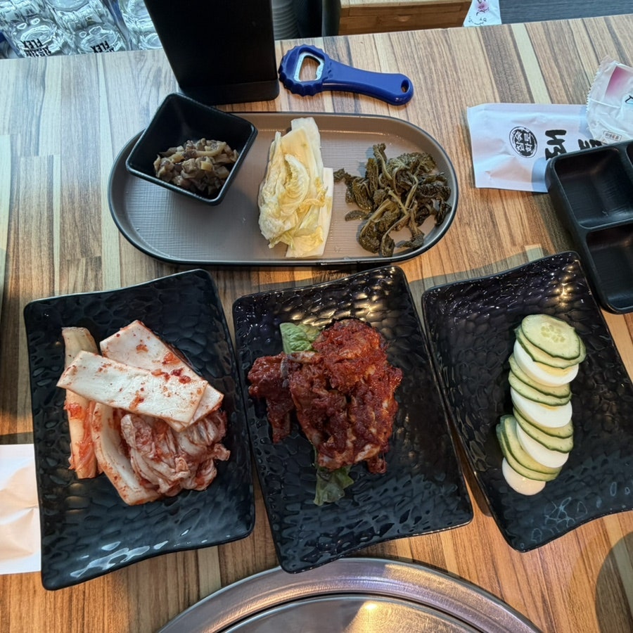 돼통령 사진 4