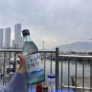 [부산/송도 야장 횟집] 바다 보며 한잔혀~ 오션뷰 자연산 횟집 '부라보횟집' 리뉴얼된 솔직후....
