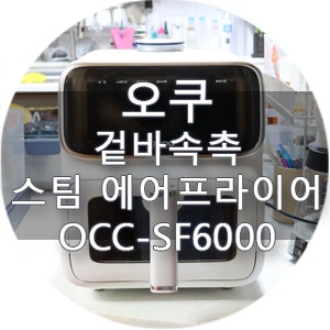 오쿠 겉바속촉 스팀 에어프라이어 OCC-SF6000 솔직 후기, 겉바속촉이 진짜 되는지 써봤어요