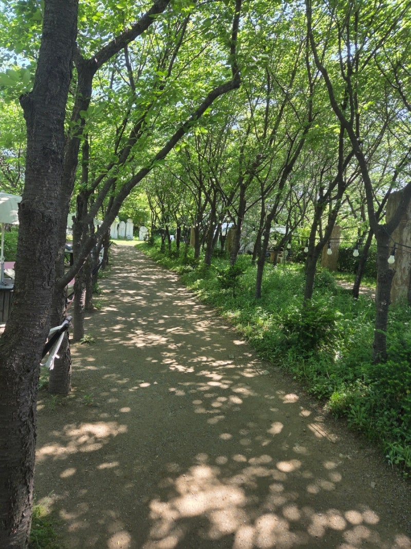 파주 애견 동반 카페 추천 초록빛 공간 힐링 그라운드