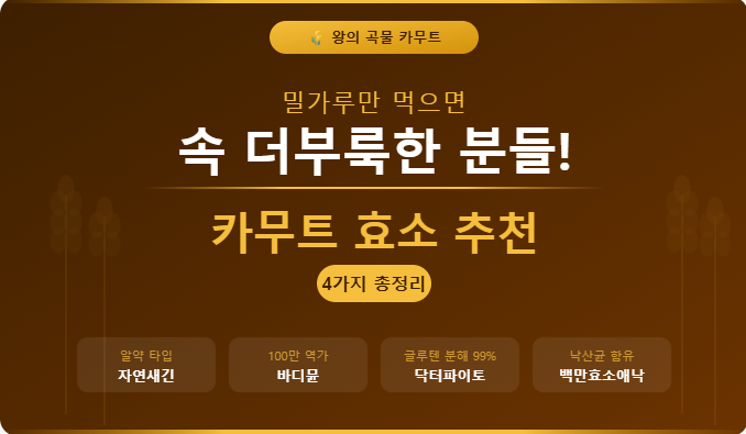 밀가루만 먹으면 속이 더부룩한 분들, 이거 진짜 보세요 | 카무트 효소 추천 4가지