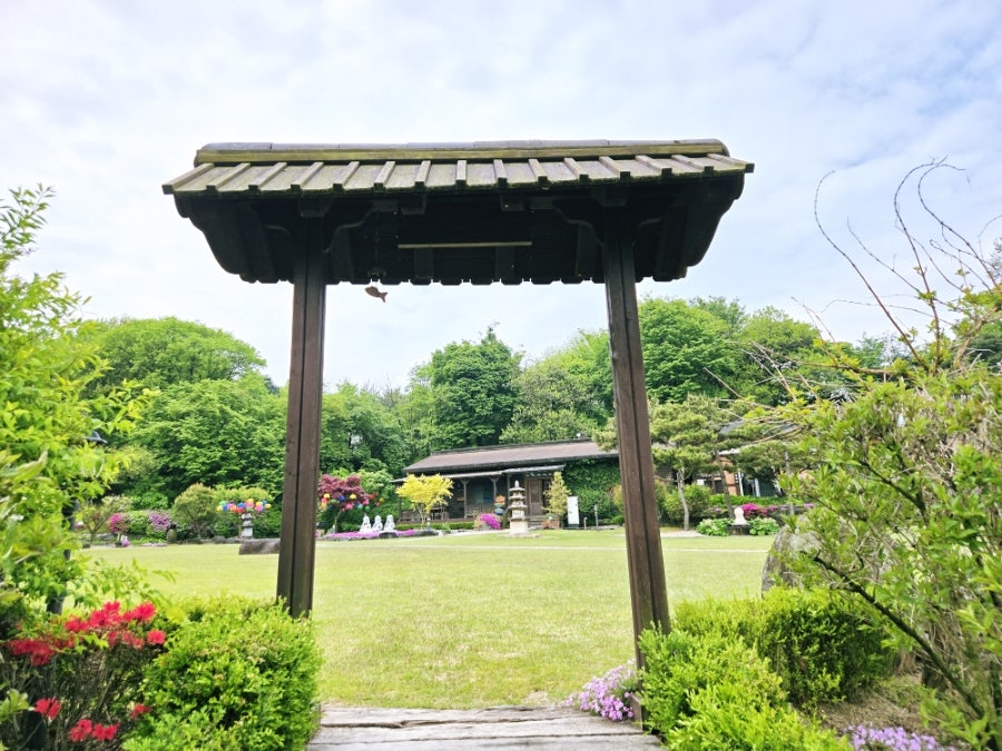 마야 사진 3