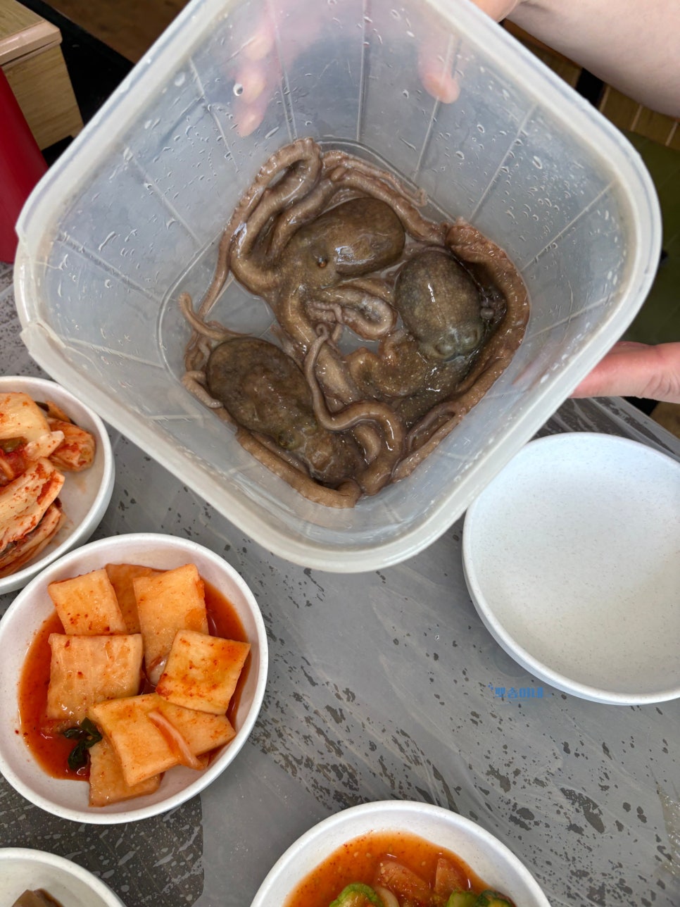 왕산포횟집 사진 6