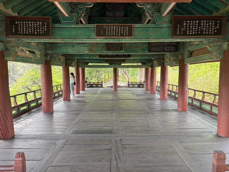 루 사진 6