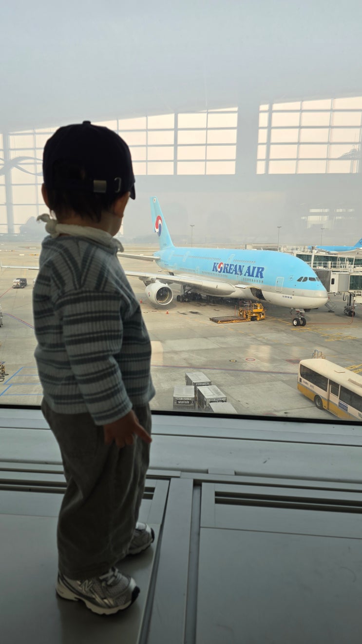  [6] 20개월 아기랑 일본 여행 비행기 후기(기내에서 실제 어땠는지)