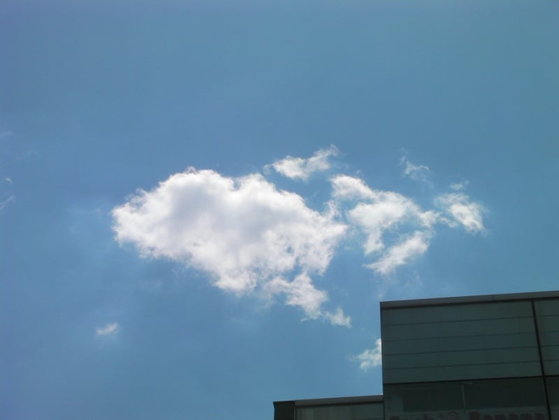 산요 작티 cg9 해쨍쨍 맑은 날 도심 작례 :: 압구정 로데오