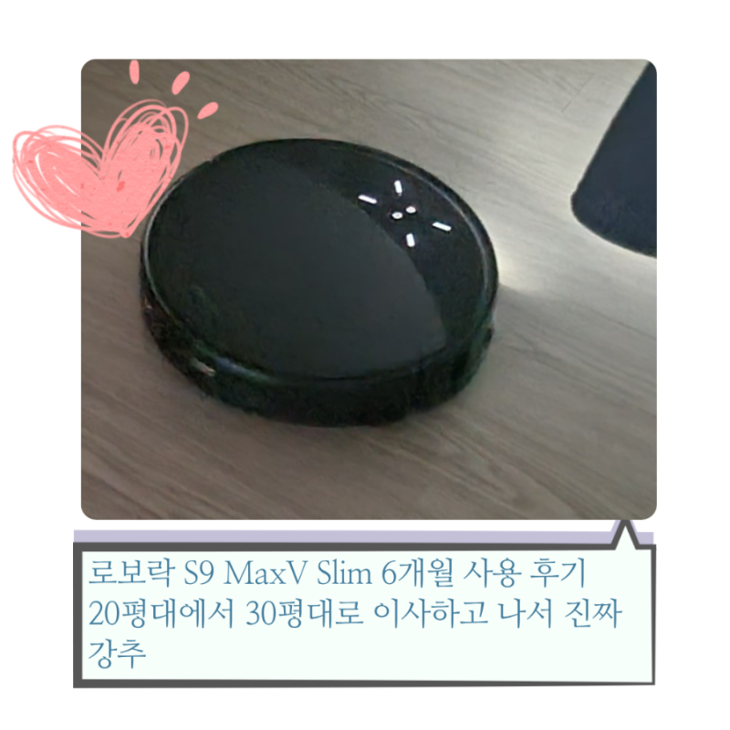 로보락 S9 MaxV Slim 후기 30평대 매트 있는 집 6개월 사용 솔직 리뷰