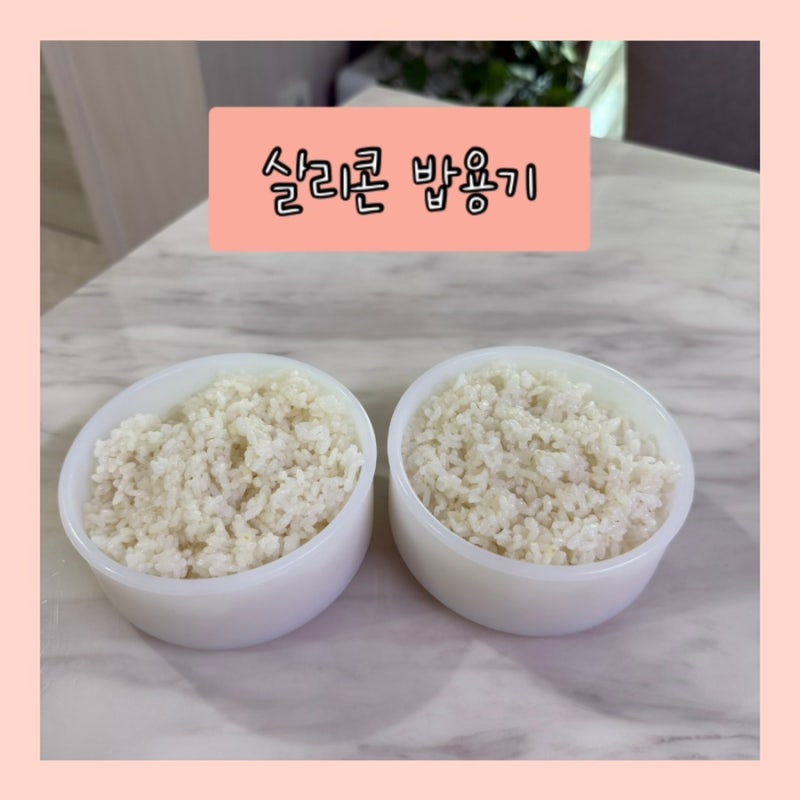 [내돈내산] 다이소 실리콘 밥용기 300ml 후기: 드디어 찾은 정착템! 250ml vs 500ml 비교까지