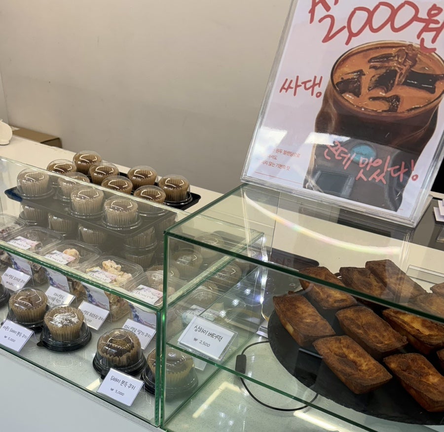 디저븨르 사진 6