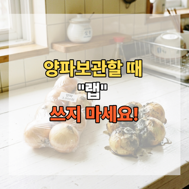  양파 보관할 때 랩 쓰지 마세요! 햇양파 보관법