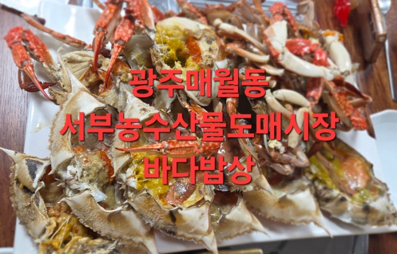 [광주서구맛집]매월동 서부농수산물도매시장 바다밥상 제철해물 암꽃게 내돈내먹 솔직후기