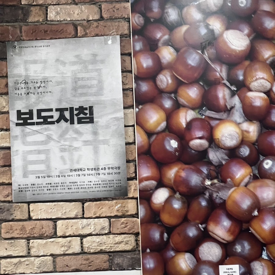 도토리칼국수 사진 6