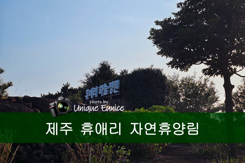 제주 휴애리 자연휴양림
