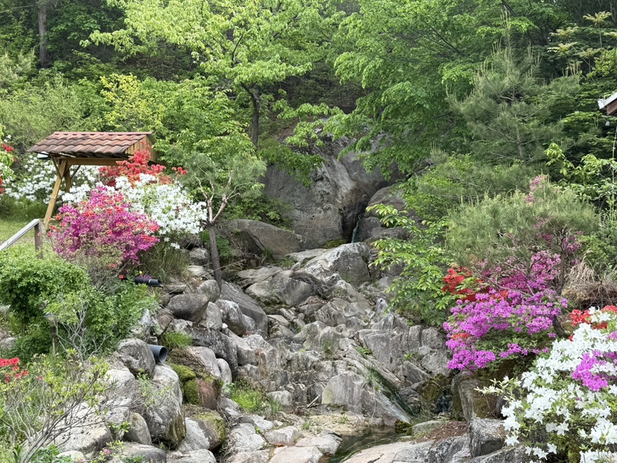 소나무펜션 사진 4