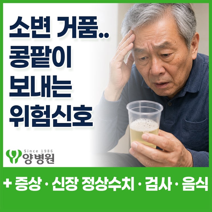  신장 이상 증상 – "소변 거품·몸 붓기 있다면?" 콩팥이 보내는 위험 신호와 신장 수치 정상 기준 | 강동구 건강검진센터