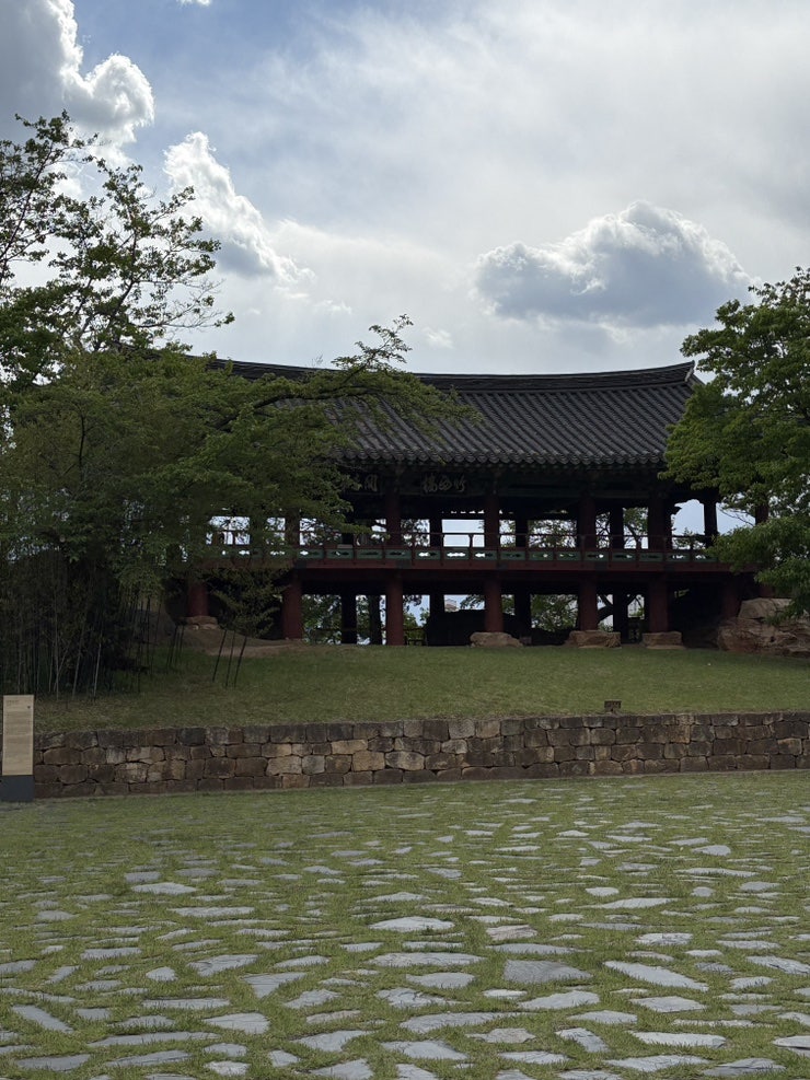 루 사진 5