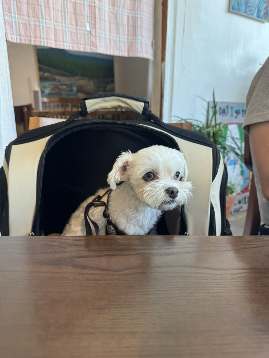 카페 물댄동산 사진 4