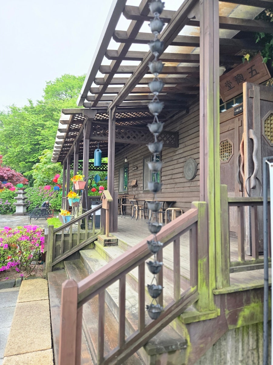 마야 사진 5