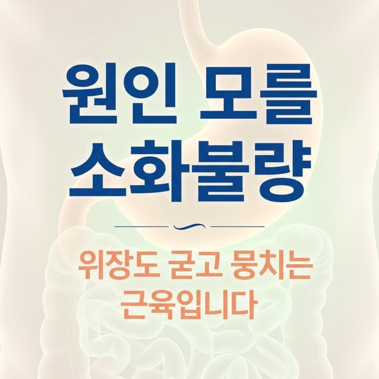  기능성 소화불량 원인, 내시경 정상인데 명치 통증 딱딱함 담적병 한의원 치료