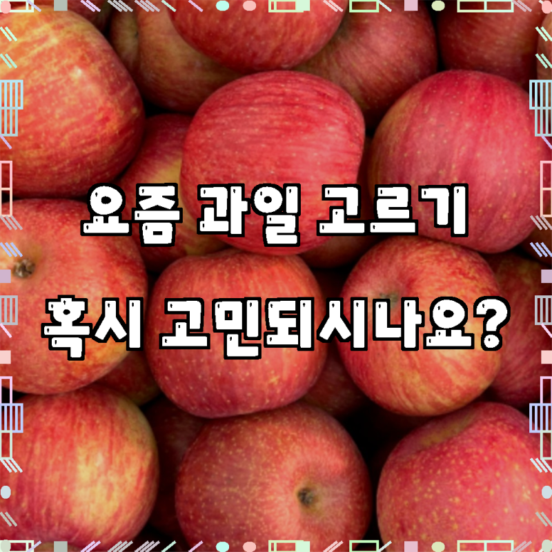 하루딱100박스 한정초특가 고당도 부사 꿀 사과, 1개, 3kg, 입 안 가득 퍼지는 달콤함의 황홀경!