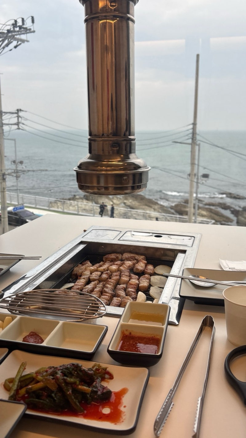 강아지와 함께하는 부산 나들이 오션뷰에 부산 애견 실내 동반이 가능한 식당-송정 포트, 기....