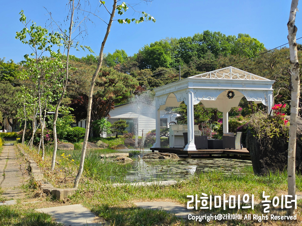 더포레1947 사진 6