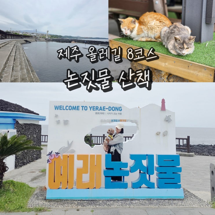  5월 서귀포 가볼만한곳 제주 논짓물 강아지 동반 올레길 8코스
