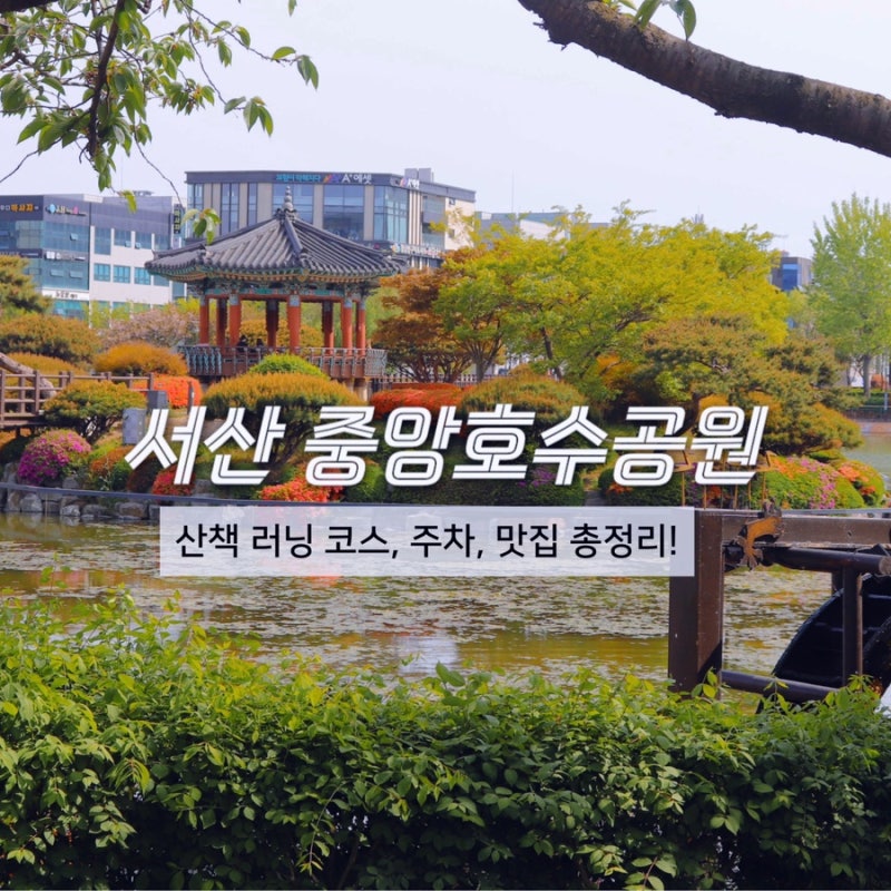 서산 가볼만한 곳 | 서산 중앙호수공원 (산책 러닝 추천, 주차, 맛집 총정리)