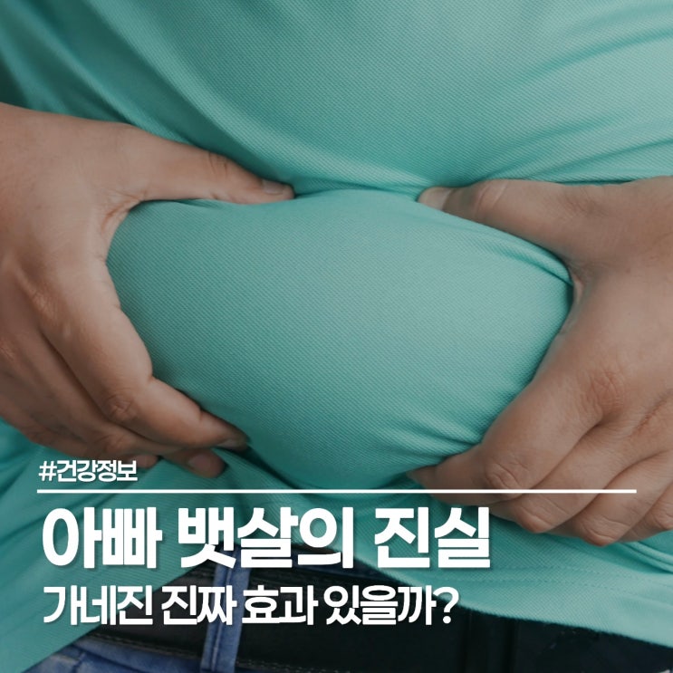  가네진 vs 우루사 vs 밀크씨슬 성능 비교, 가격 보고 결정한 간 수치 낮추는 법