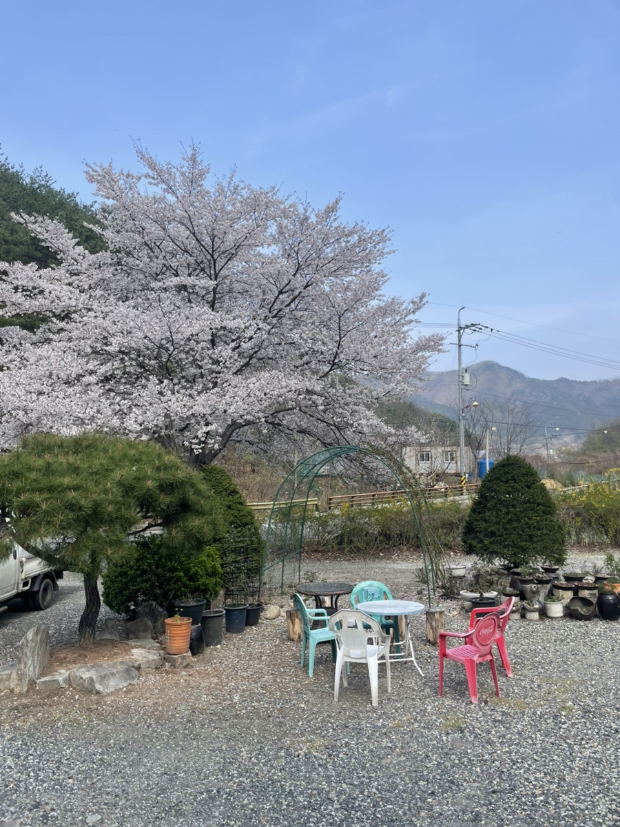 용빈식당 사진 5