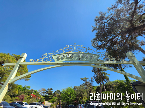 더포레1947 사진 2