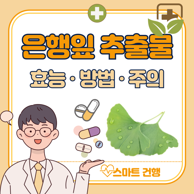 은행잎 추출물 효능, 부작용, 영양제 복용 방법