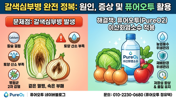  갈색심부병 원인과 증상, 그리고 퓨어오투이산화염소수 적용 기대효과 농작물 재배 현장에서 자주 문제가 되는 생리장해 중 하나가 바로 갈색심부병입니다.