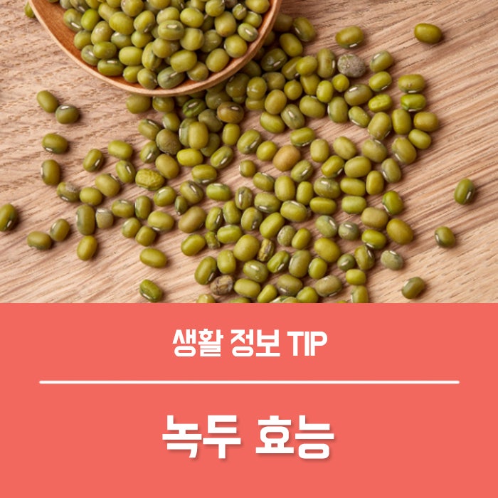 녹두 효능 4가지, 녹두죽 칼로리는?