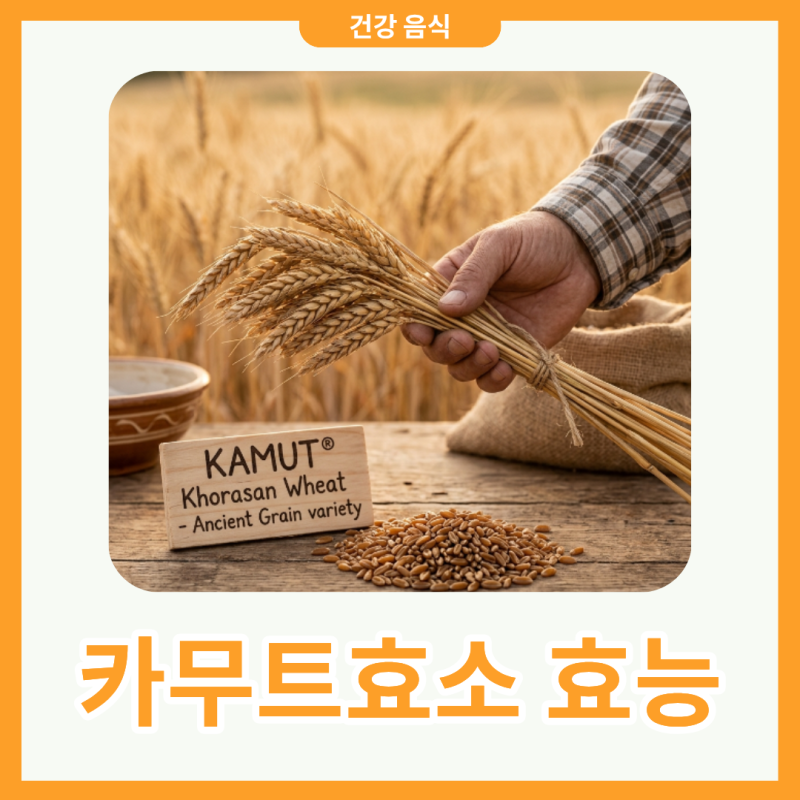 카무트효소 효능 권장량 카무트쌀 맛있게 먹는 방법 총 정리