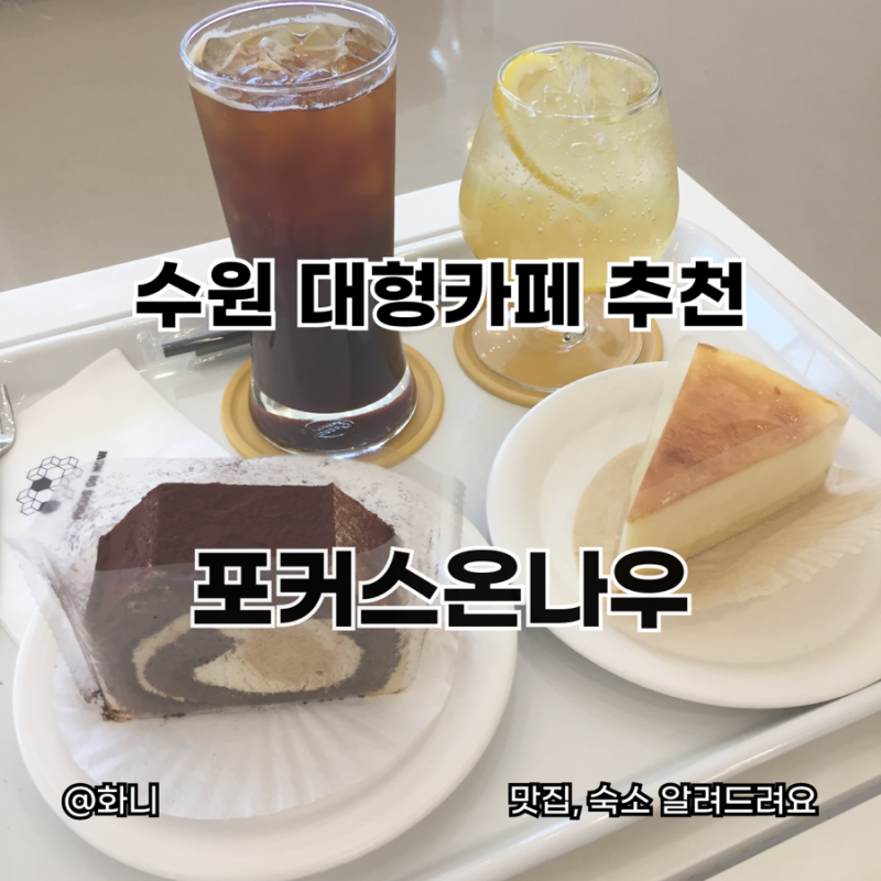 수원 대형카페 추천 포커스온나우 초록뷰와 편한 좌석으로 힐링 후기