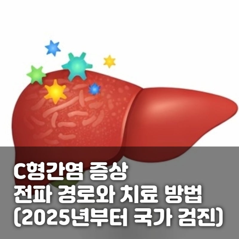 C형 간염 증상, 전파 경로와 치료 방법 (2025년부터 국가 검진)