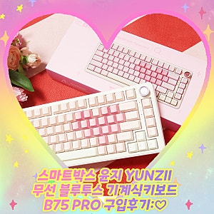 스마트박스 윤지 YUNZII 무선 블루투스 기계식키보드 B75 PRO 구입후기:♡