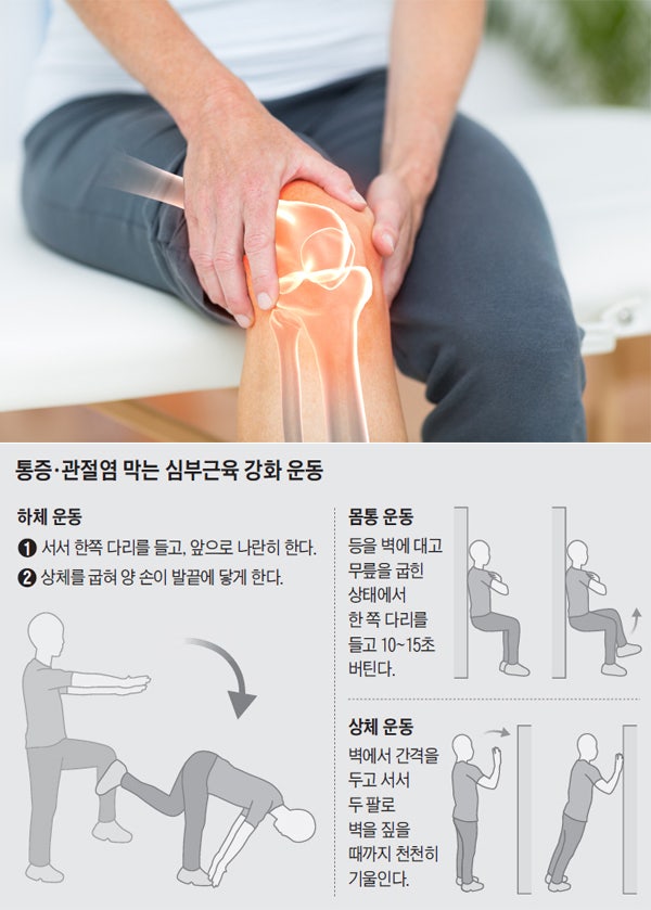 관절영양제 먹어도 효과 없다? 돈값 하는 진짜 좋은 성분 고르는 법