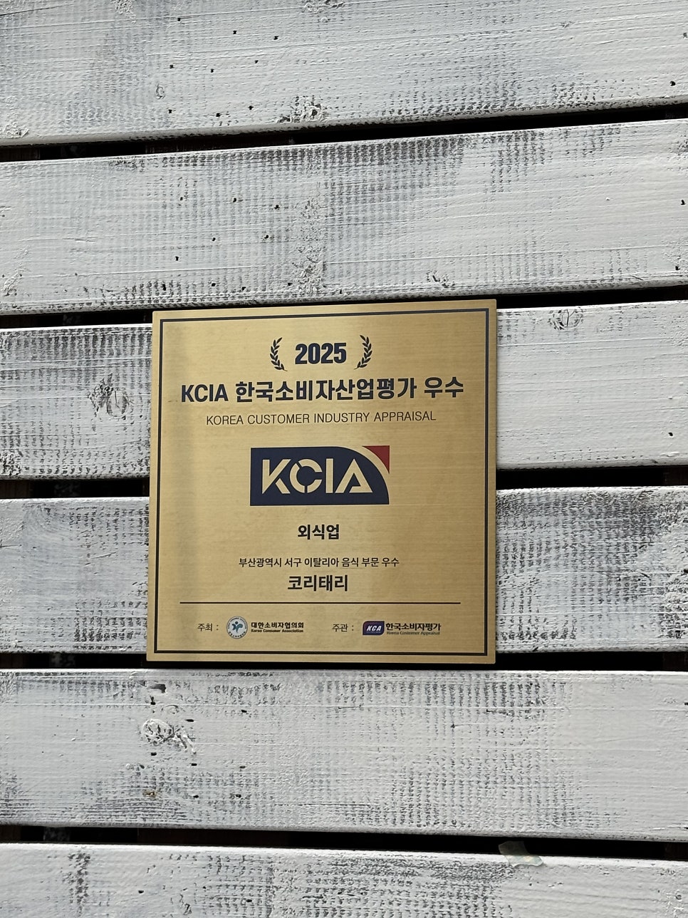 코리태리 사진 3
