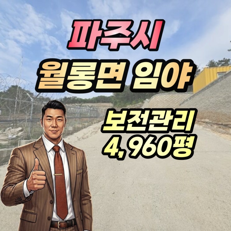  파주시 토지 경매 월롱면 덕은리 임야 5천평 2024타경68148(1번물건)